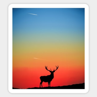 Stag Sunset Sticker